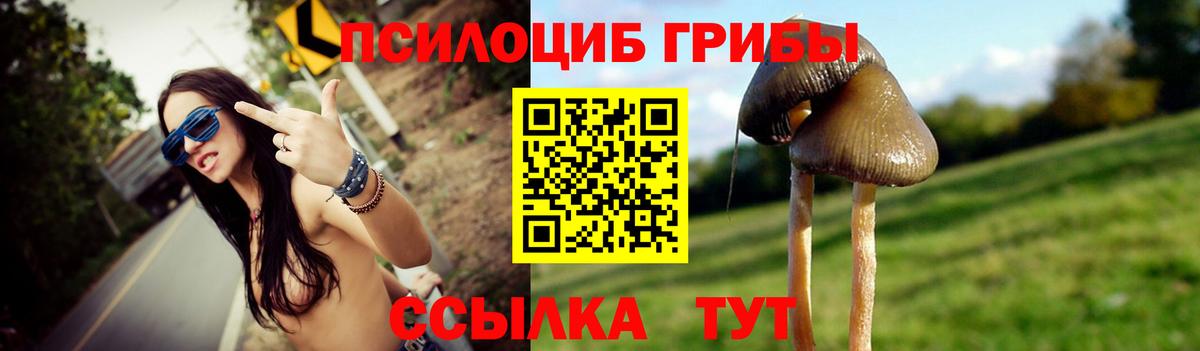 Галлюциногенные грибы Magic Shrooms Губкин